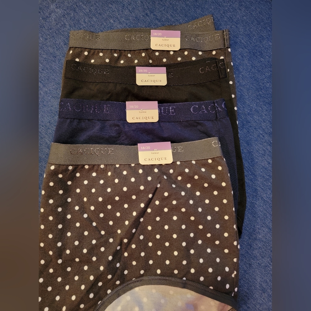 NWT Lot 4 - 18/20 Cacique Lane Bryant